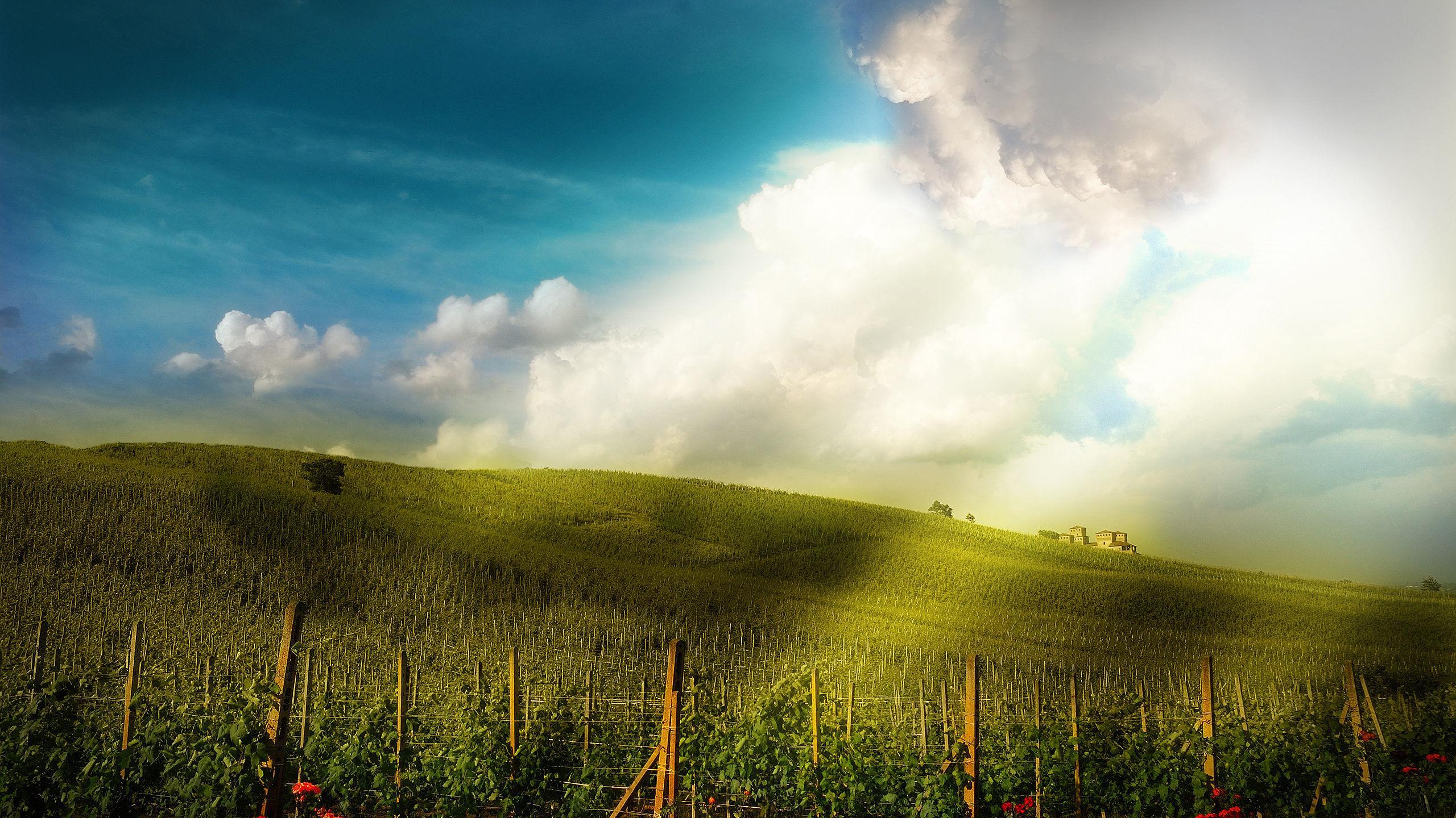 Image - My new Windows XP background ;) #windows #xp #background #hd #cover #wallpaper - Post 422