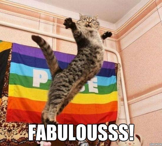 Image - #Fabulous new #speed and #awesome new #content on #MineStatus !!!  But, poor #gaykitty , his, her, it's #rain...